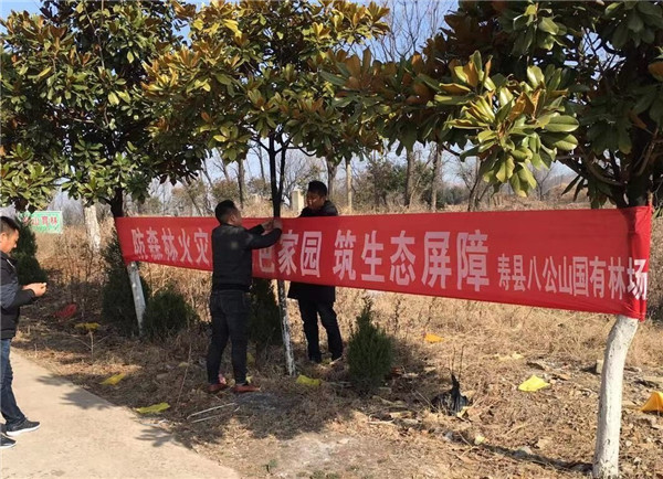 1613613619767299.jpg rB40qWAjLESAEDXQAAXo8rxVD3I944.jpg