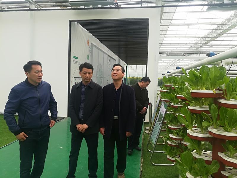 1617500337590180.jpg 44.jpg