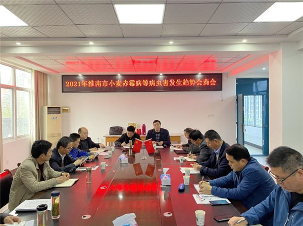 1617500745215417.jpg 11.jpg