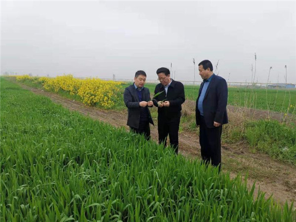 1617700620127503.jpg rB40zWBsEHuAbCcJAAEno5hB7pA871.jpg