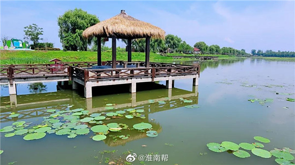 【圖說淮南】——初夏雨后的焦崗湖，暖風(fēng)徐徐！