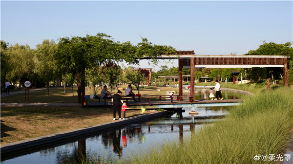 【圖說(shuō)淮南】——夏日里的戲水歡樂(lè)