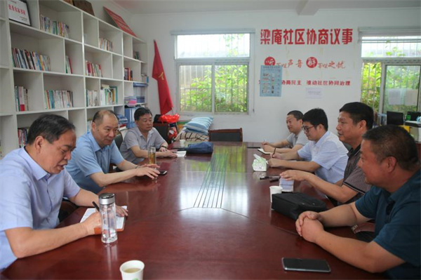 淮南市局黨組書記、局長王雁秋調(diào)研指導(dǎo)鄉(xiāng)村振興工作