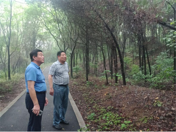 淮南市林業(yè)局魯金杰局長(zhǎng)赴舜耕山風(fēng)景區(qū)調(diào)研綠化養(yǎng)護(hù)情況