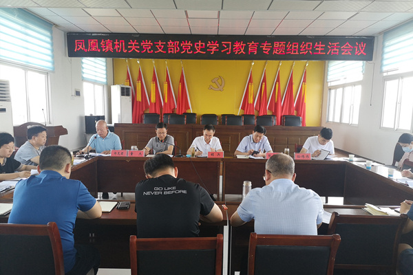 淮南市鳳臺(tái)縣鳳凰鎮(zhèn)黨委：嚴(yán)把“四道關(guān)” 開好黨史學(xué)習(xí)教育專題組織生活會(huì)