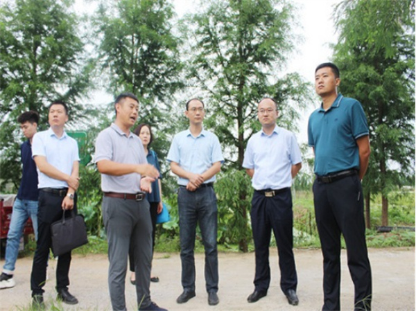 【淮南市鳳臺縣】團省委來鳳開展調(diào)研活動