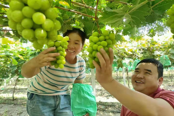 淮南市鳳臺縣顧橋鎮(zhèn)黨委:念好黨建引領(lǐng)“四字訣”，激活鄉(xiāng)村振興“一池水”