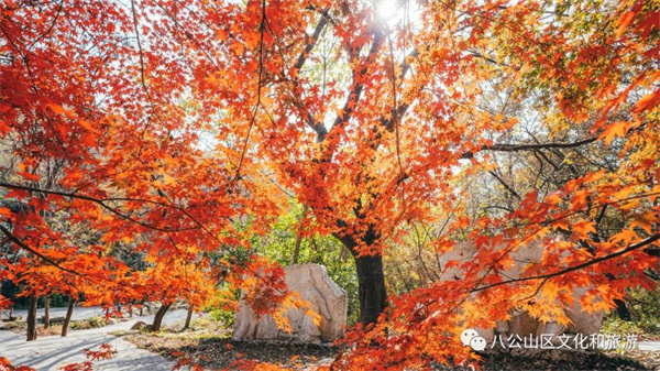 【圖說淮南】——八公山風(fēng)景區(qū)這個地方紅了！