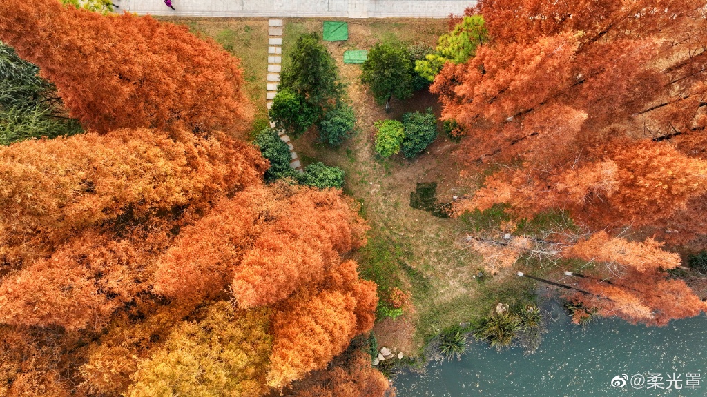 【圖說淮南】——淮南龍湖公園的冬天是什么顏色的呢？