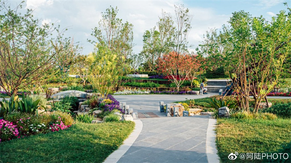 【圖說(shuō)淮南】——淮南人民公園的花有多少種呢？