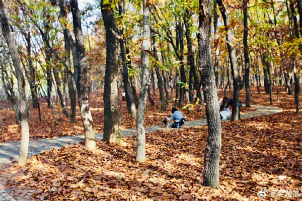 【圖說淮南】——12月的淮南！你好！