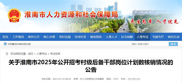 關(guān)于淮南市2025年公開招考村級(jí)后備干部崗位計(jì)劃數(shù)核銷情況的公告.jpg