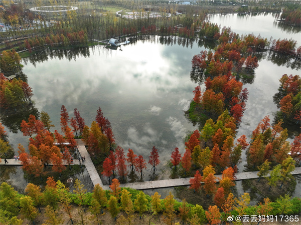 【圖說淮南】——彩色的秋  ??