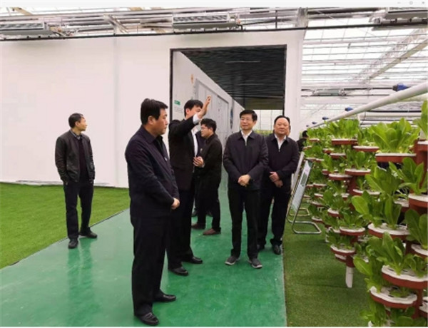 淮南：徐禮國(guó)調(diào)研農(nóng)業(yè)農(nóng)村工作