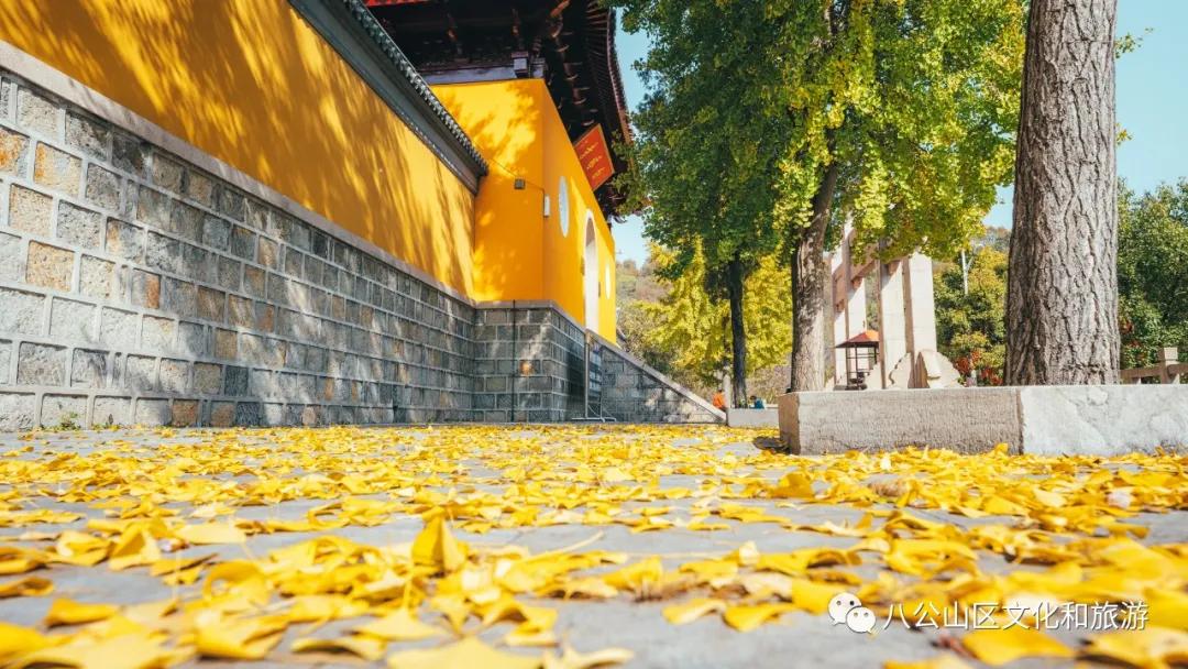 讓八公山風景區(qū)借你一場秋